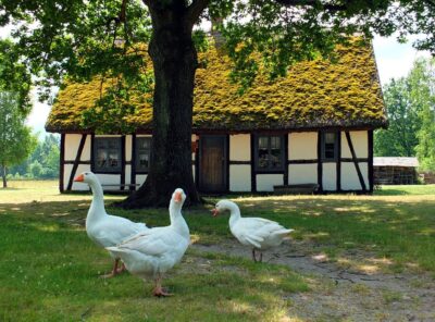 Muzeum Wsi Słowińskiej w Klukach