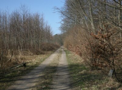 Szlak zwiniętych torów