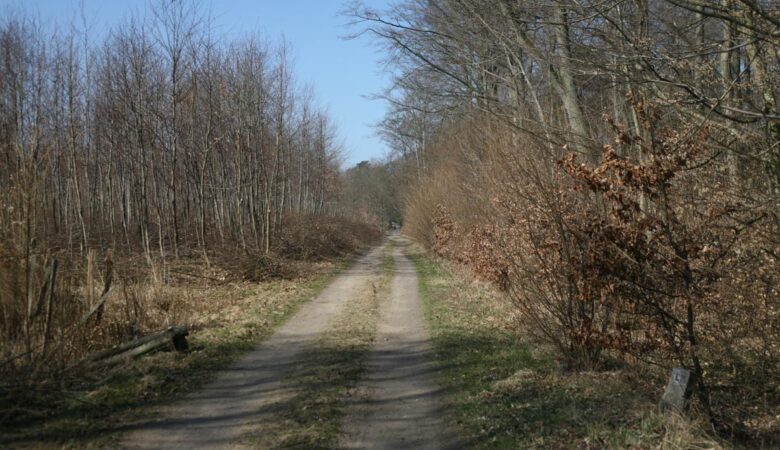 Zdjęcie ze szlaku zwiniętych torów w Rowach